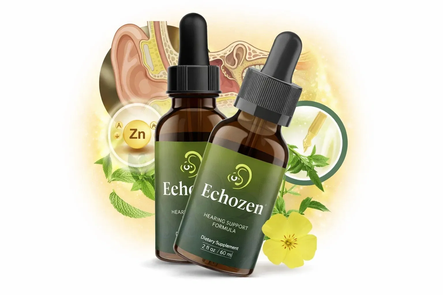 Echozen supplement